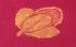 SAREES JAYANKONDAM COTTON 550 MTS